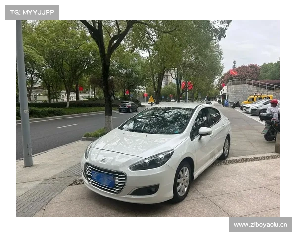 不错这很标致 试驾新一代东风标致308 不错这很标致 试驾新一代东风标致308